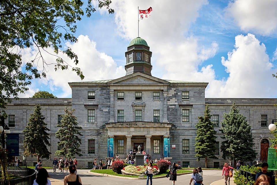 نمایی از McGill University